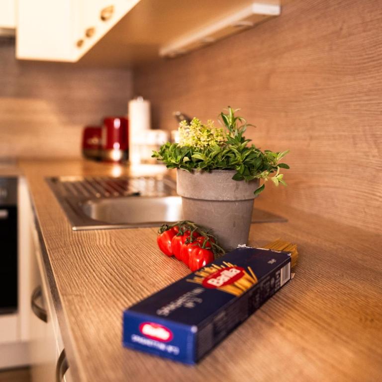 Ferienwohnung Kreidl - Apartamento de 1 dormitorio - 9