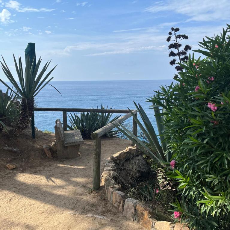 Les Terrasses de Cala Llevado 3 - Appartement 1 Chambre - 20