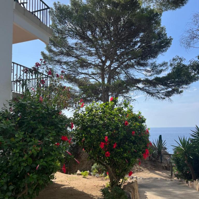 Les Terrasses de Cala Llevado 3 - Appartement 1 Chambre - 22