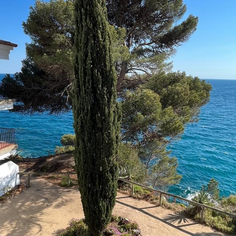 Les Terrasses de Cala Llevado 3 - Appartement 1 Chambre - 25