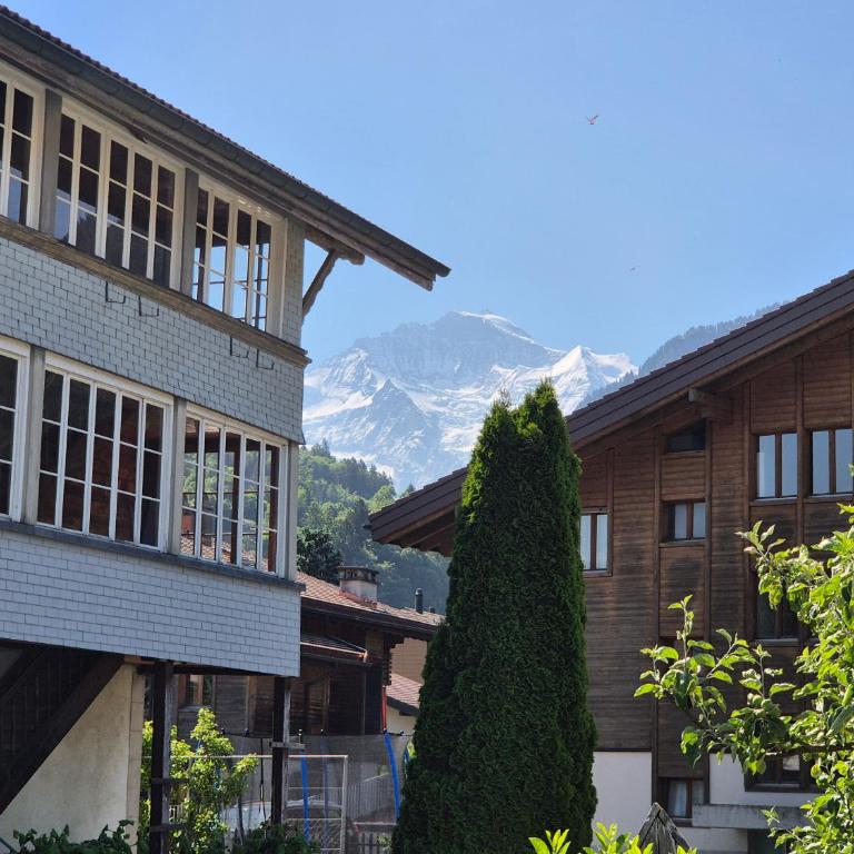 Alpine Bliss Studio - Apartment mit 1 Schlafzimmer - 3