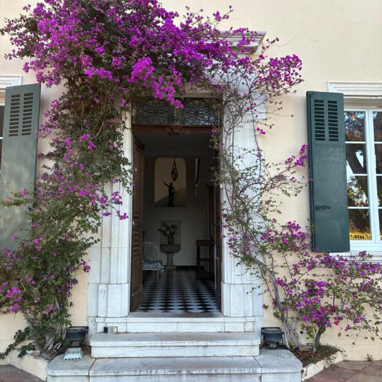 Bastide Calimone - Villa Supérieure - 12