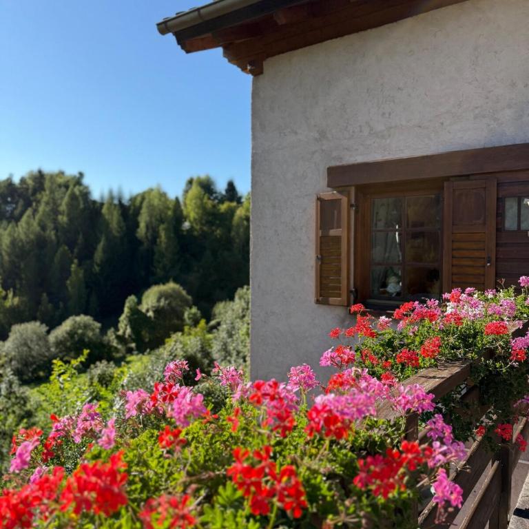 Villetta Ximenes - Casa con 2 Camere da Letto - 2