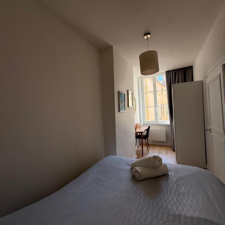 Metz city center, comfort, charm, ideal TAISON - One-Bedroom Apartment - 9