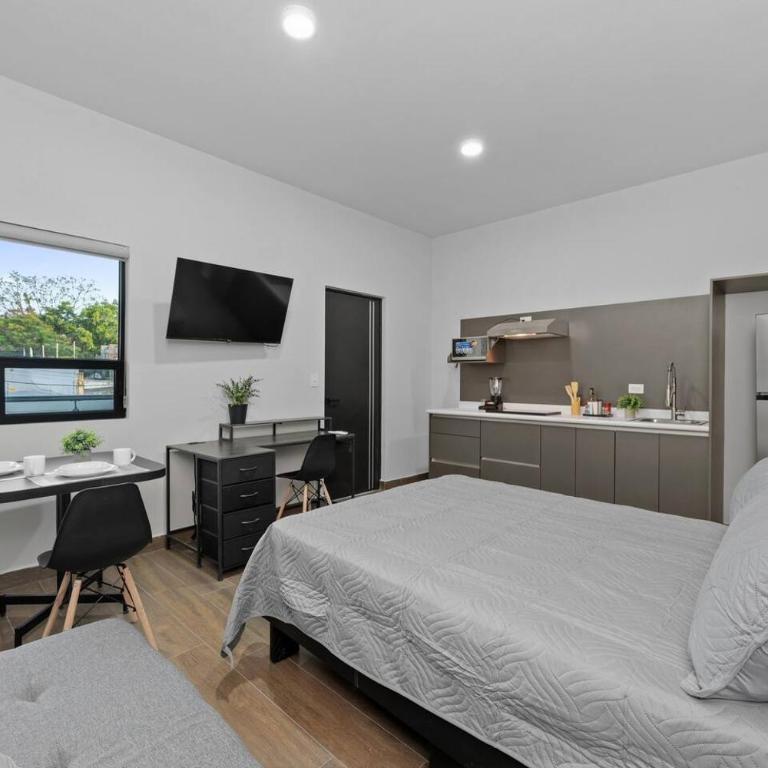 Acogedor Loft Boutique Vista a la alberca - Apartamento - 3
