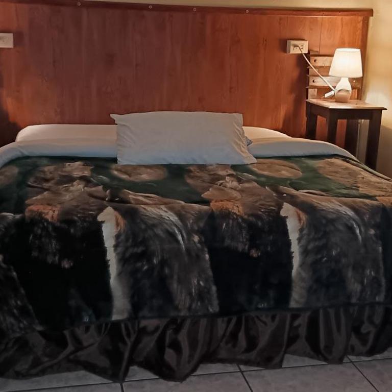 Casa Perla Cuencana Hostal - Single Room with Private Bathroom - 1