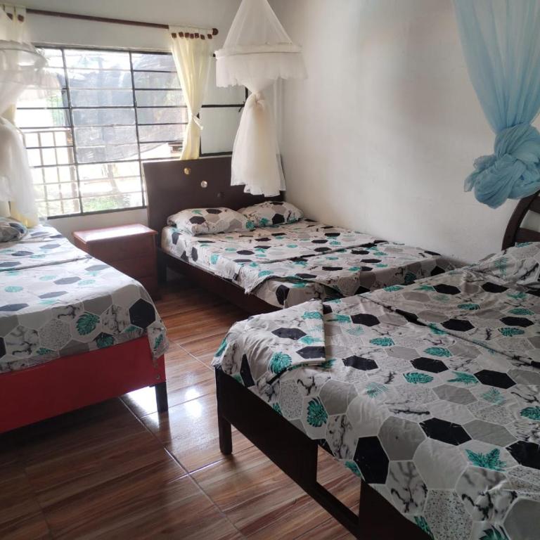 Villa Adelita - Casa de 3 dormitorios - 10