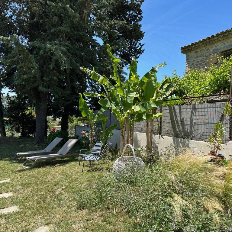 Le Petit Gîte - Maison 1 Chambre - 41