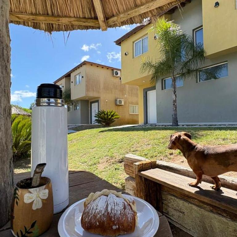 Complejo Palapas - Two-Bedroom Apartment - 11