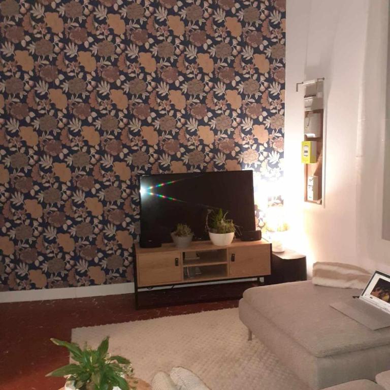 11 rue Carnot - Appartement 1 Chambre - 4