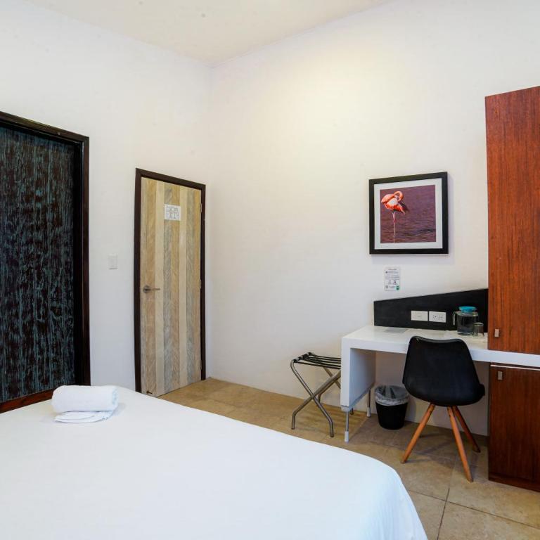 Hotel Volcano - Standard Double or Twin Room - 6