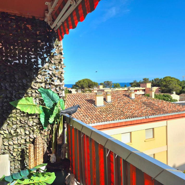 Studio Lucia - Vue mer - Studio - 1
