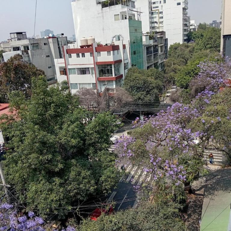 Esencia Reforma-Depa con mini balcón y parking - Two-Bedroom Apartment - 27