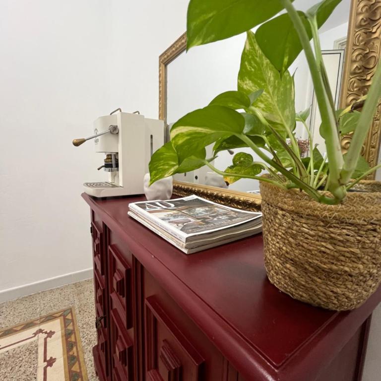 Domus sfera - Apartamento de 2 dormitorios - 23