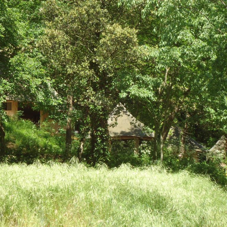Prehistoric Lodge - Adult Only - Lodge Double Supérieur - Vue sur Rivière - 3