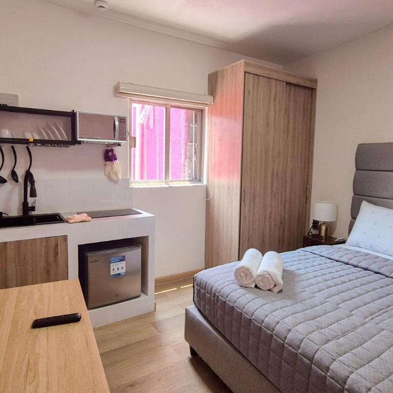Polanco Living, Estudio cerca de Embajada y Masaryk - Appartement 1 Chambre - 23