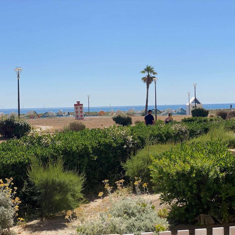 Studio bord de mer pour 3 pers avec parking - FR-1-81-127 - Studio - 11