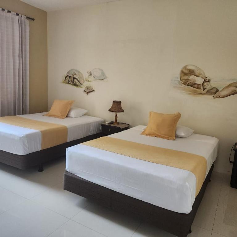 Ocean Dreams Galapagos - Standard Double Suite - 1