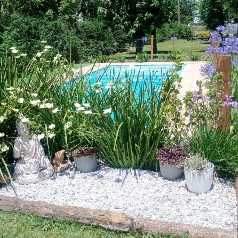 Las moras quinta - Casa de 2 dormitorios - 18