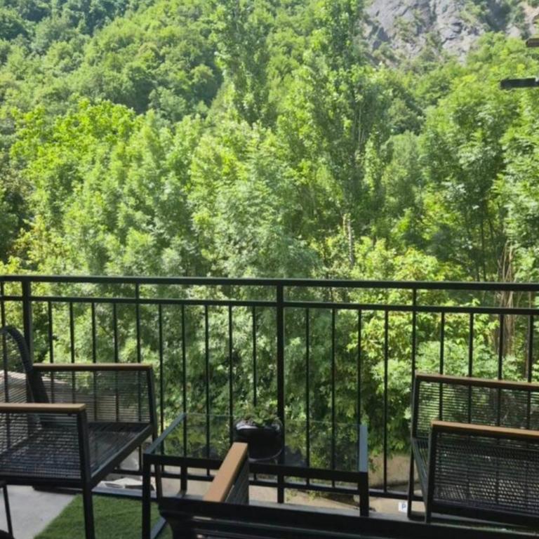 Au pied des montagnes. - Appartement 1 Chambre - 3