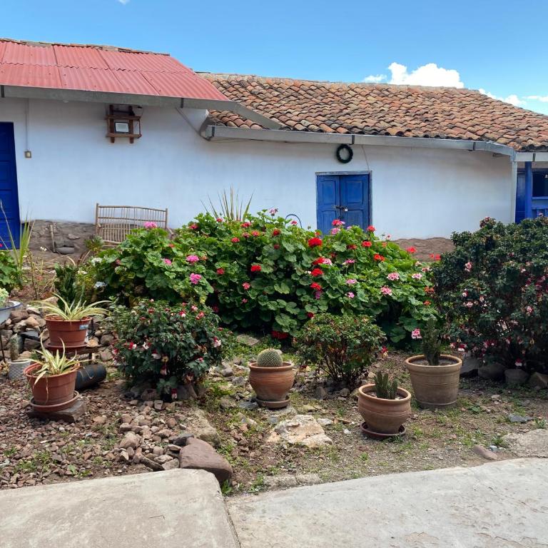 Auquis Hostel - Twin Room - 6
