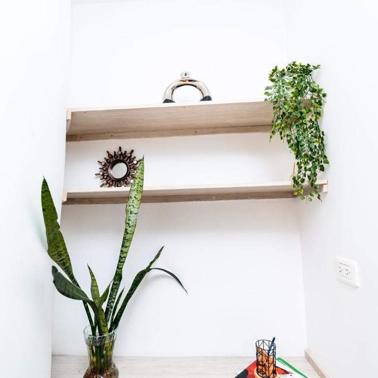Ideal Home - One-Bedroom Apartment - 4