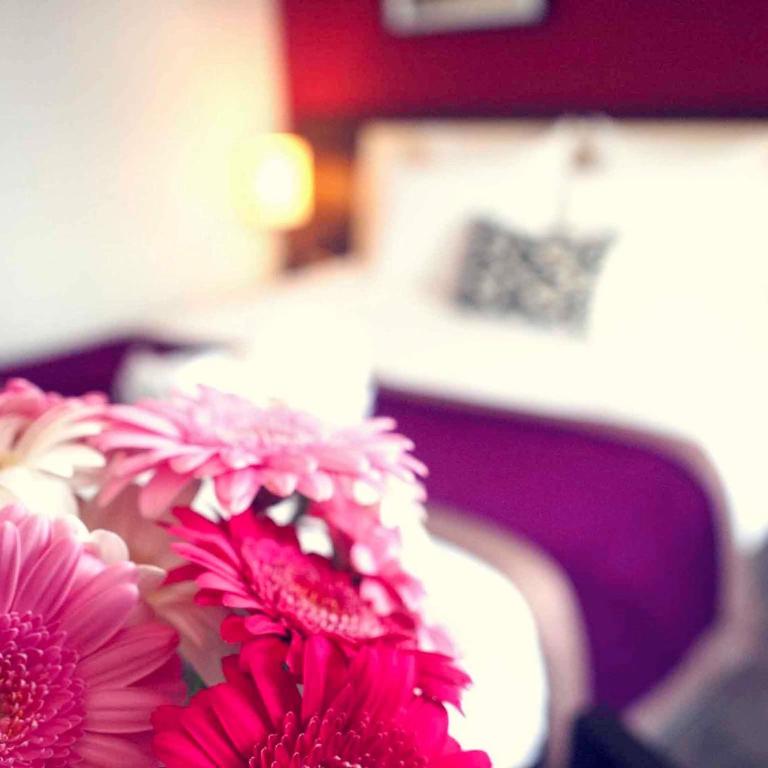 Mercure Angers Centre Gare - Chambre Double Standard - 2