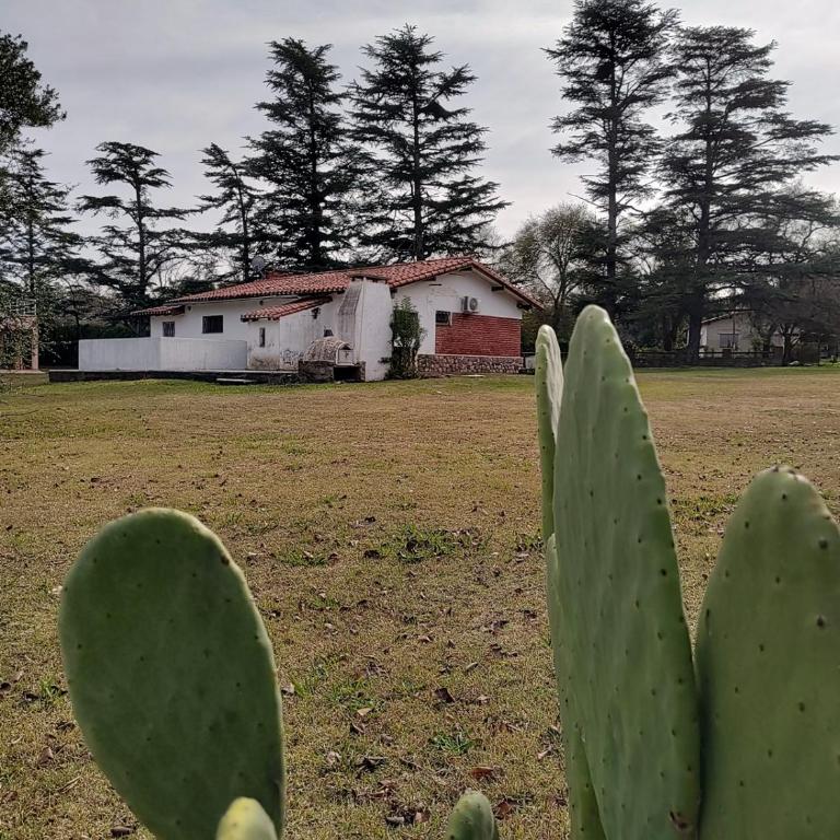 Pinos del Virrey I - Three-Bedroom Chalet - 19