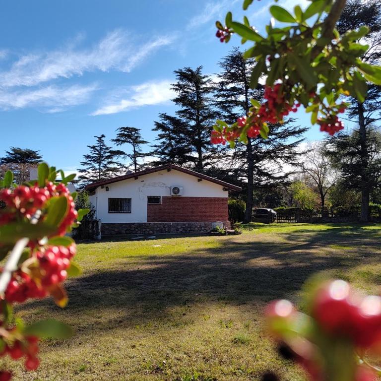 Pinos del Virrey I - Three-Bedroom Chalet - 9