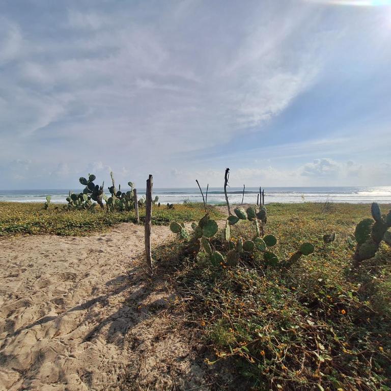 Casa Icaco, Naturaleza y calma junto al mar - Villa - 58