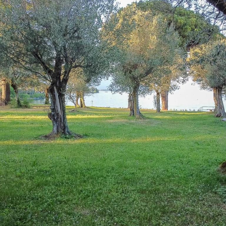 Pisenze Lake Apartments - Appartamento Monolocale con 1 Letto Matrimoniale - 15