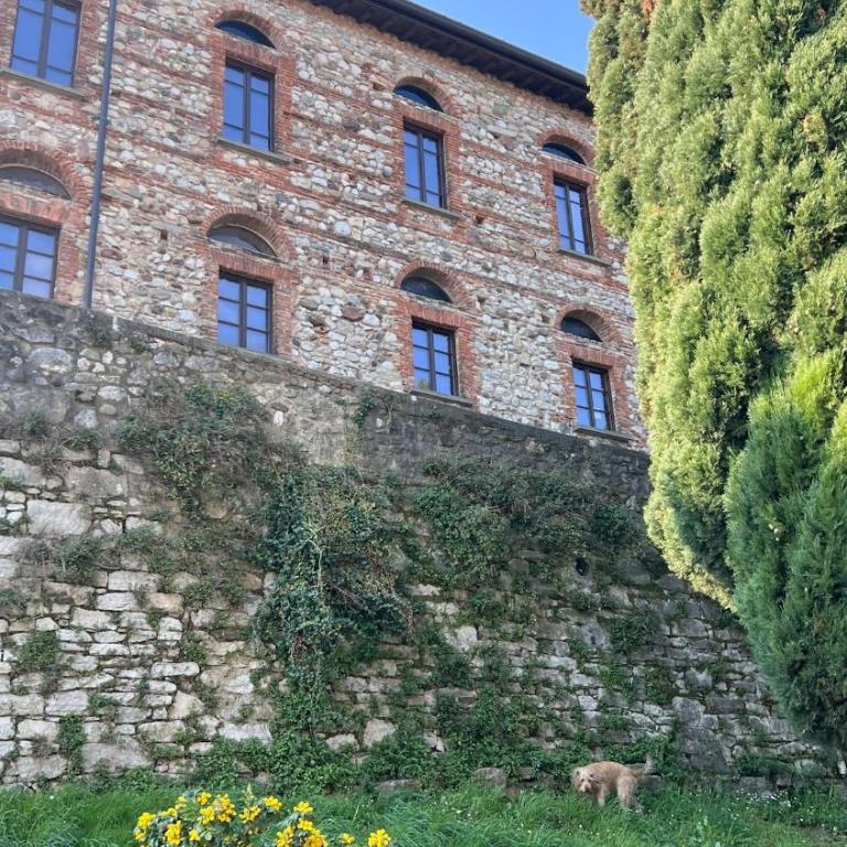 Kandinskij - Castello Luxury Apartments - Appartement 3 Chambres - 21