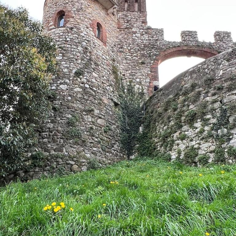 Kandinskij - Castello Luxury Apartments - Appartement 3 Chambres - 46