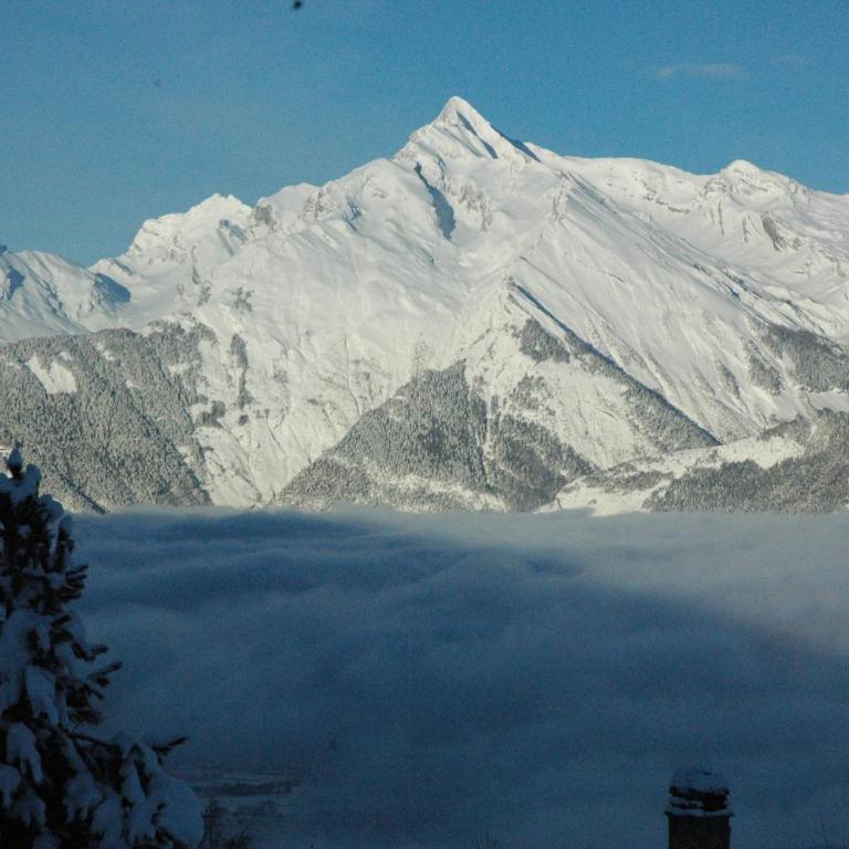 Chalet le Verger - Chalet - 49
