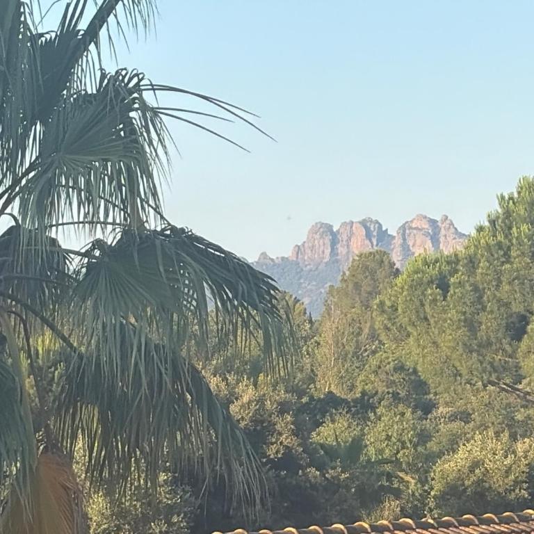 Le Cocon du Rocher - Estudio con vistas a la piscina - 7