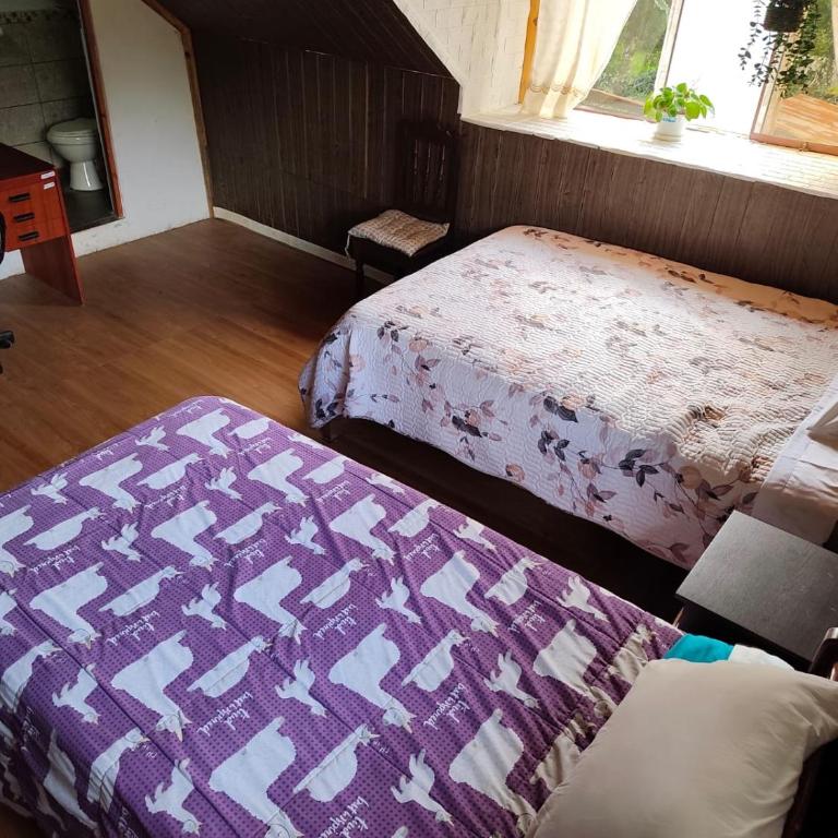 Yanesh Haus habitaciones Oxapampa - Family Room with Garden View - 1