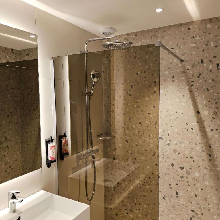 Aparthotel Adagio Genève Mont-Blanc - Chambre Standard avec Un Lit Double & Un Canapé-Lit - 5