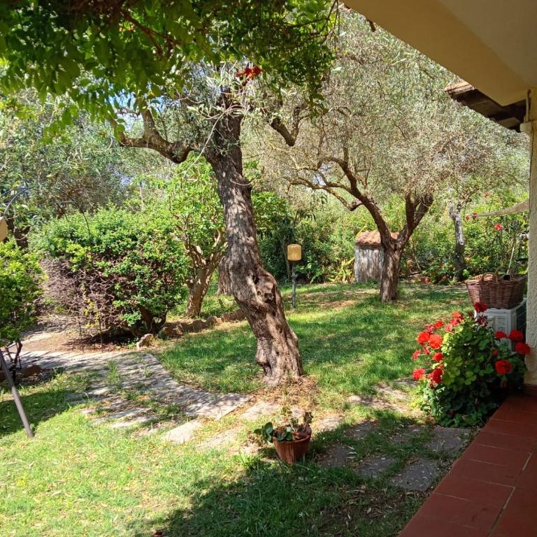 Residenza Paola - Relax ad Alghero - Villa 3 Chambres - 12