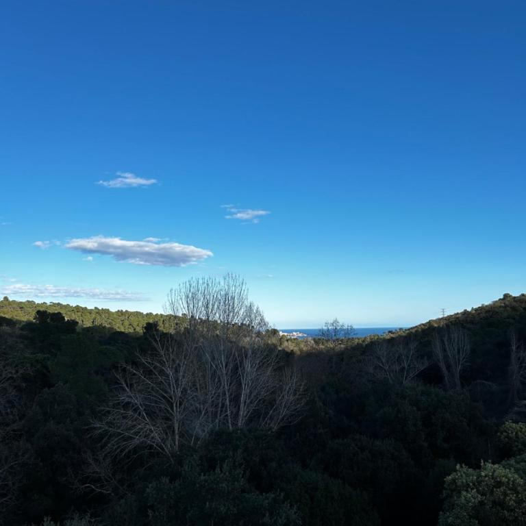 Villa platja DAro - Casa de 4 dormitorios - 20