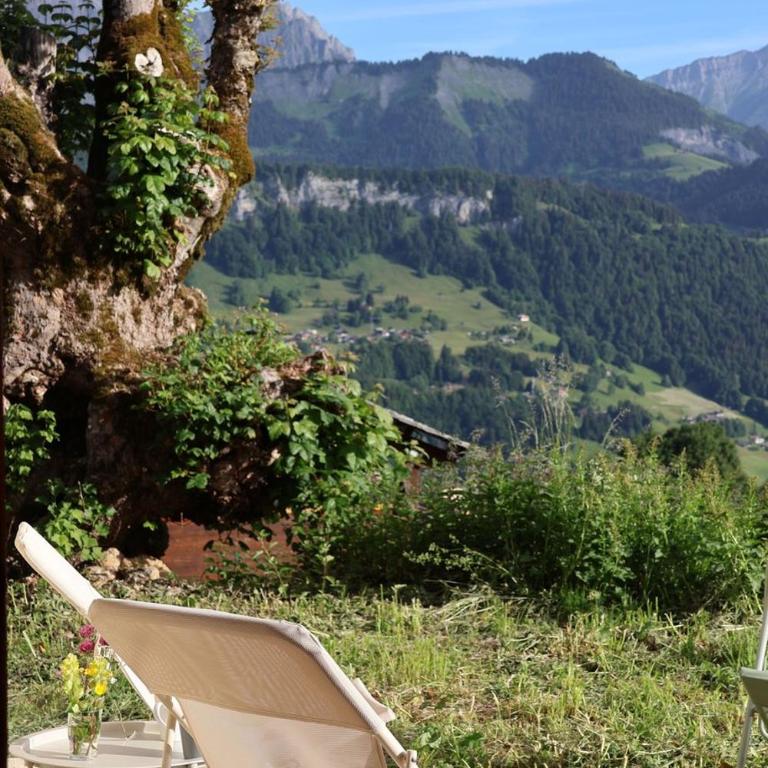Le Chalet des pistes - cœur de l'Espace Diamant - Apartment with Mountain View - 12