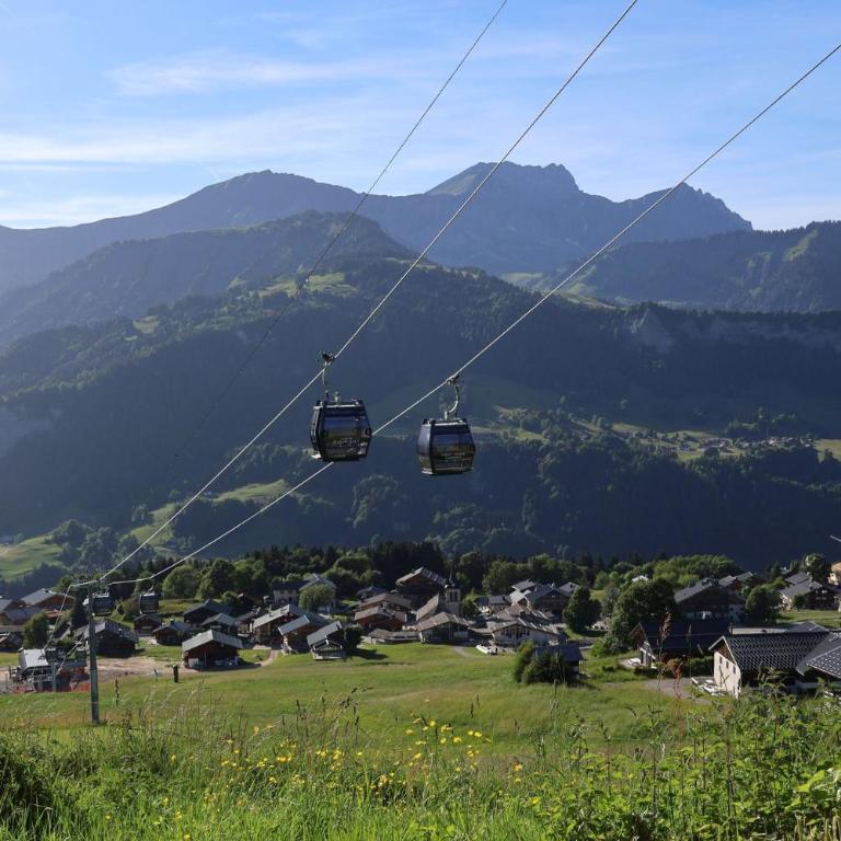 Le Chalet des pistes - cœur de l'Espace Diamant - Apartment with Mountain View - 15