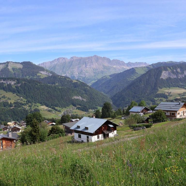 Le Chalet des pistes - cœur de l'Espace Diamant - Apartment with Mountain View - 13
