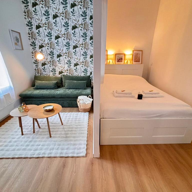 Le Tinqueux Chic-Studio rénové proche centre reims - Appartamento con 1 Camera da Letto - 11