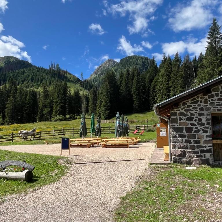 Malga Valmaggiore - Camera Familiare con Bagno Privato - 11
