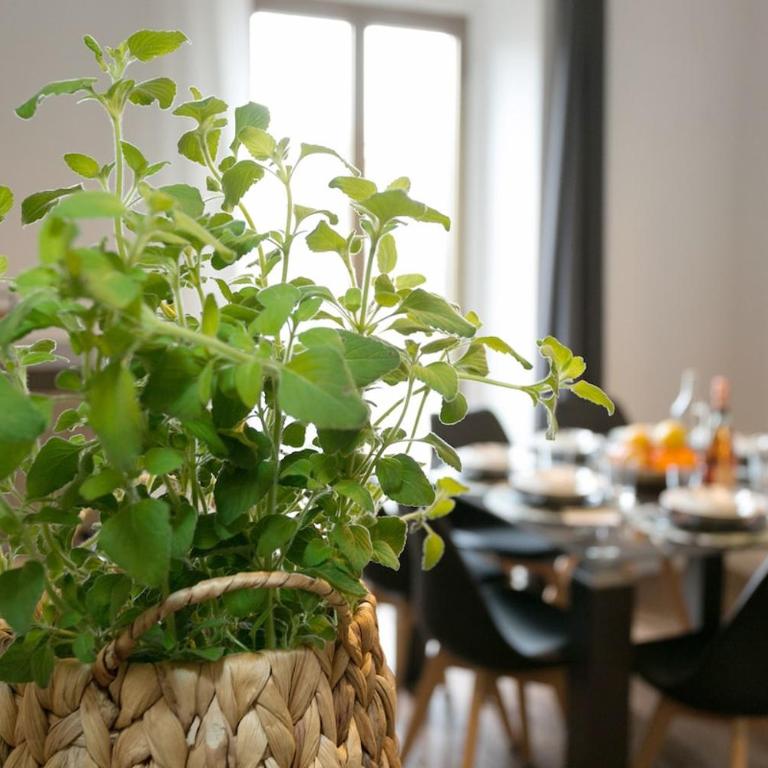 The Colosseum Mansion - Appartement - 34