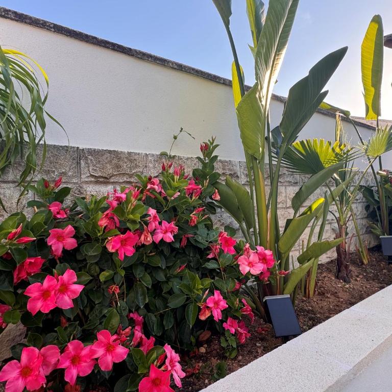 Casita del Flamenco - Poolvilla - Villa mit privatem Pool - 69