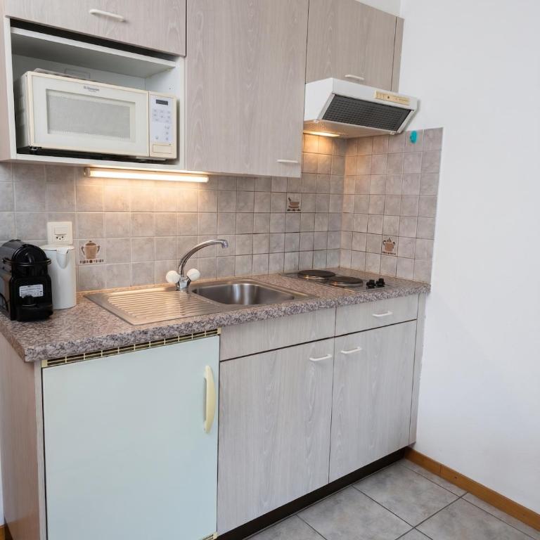 Cozy studio ready for a raclette! - One-Bedroom Apartment - 4