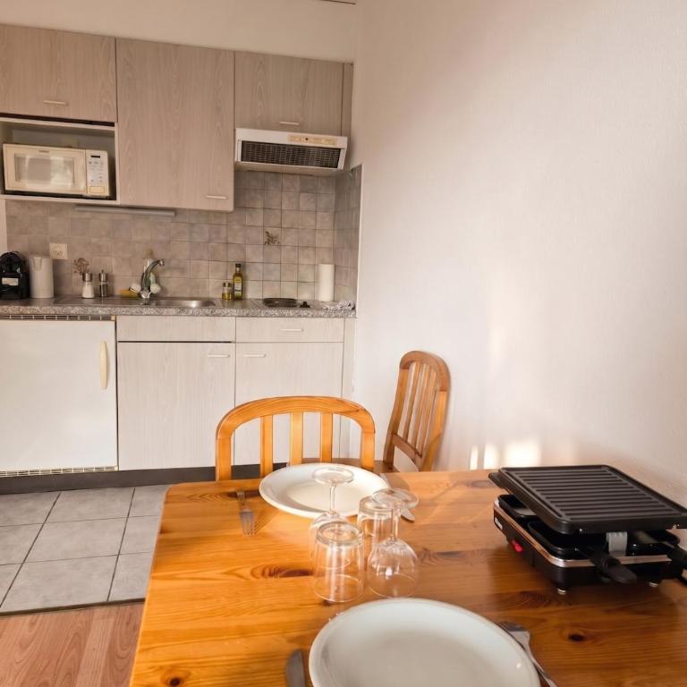 Cozy studio ready for a raclette! - One-Bedroom Apartment - 8