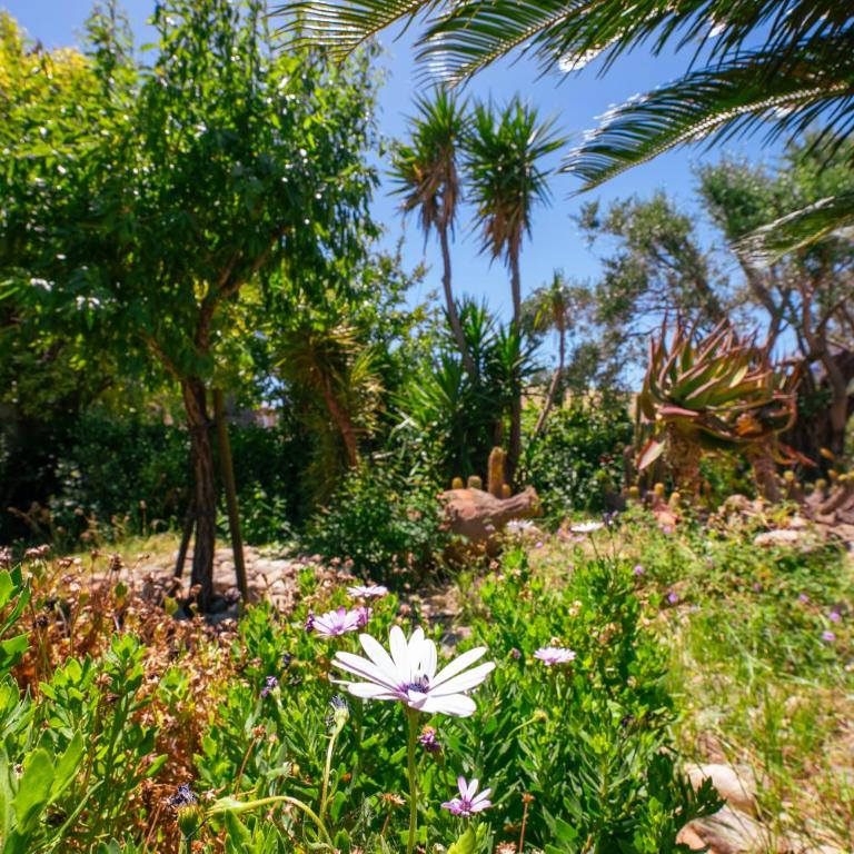 Villa paisible, piscine, BBQ & terrain de pétanque - Casa Vacanze - 43