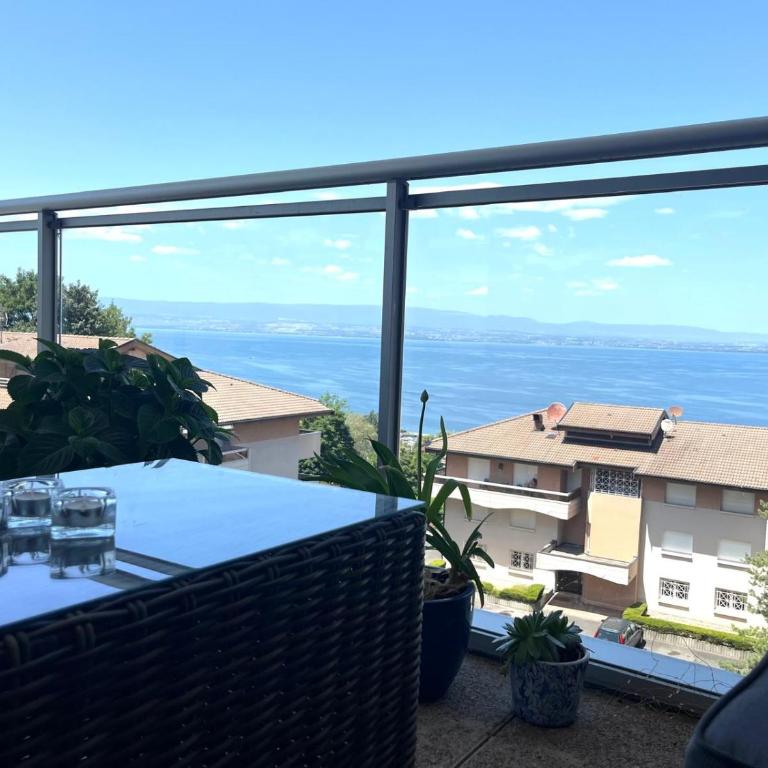 Bel appartement, lumineux et calme, terrasse, vue lac et montagne - 5 mn Evian - Appartement 2 Chambres - 15